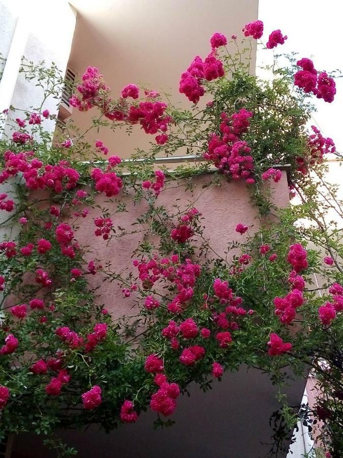 Apartment In Complex Tara Ράβντα Εξωτερικό φωτογραφία